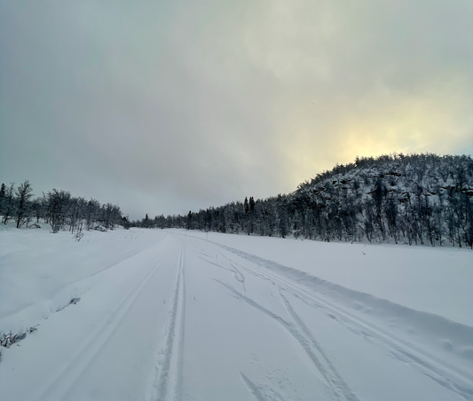 Cross-Country Ski Machines